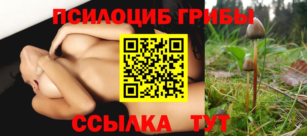 Домодедово  Галлюциногенные грибы Magic Shrooms  Галлюциногенные грибы Magic Shrooms  Вход с VPN 